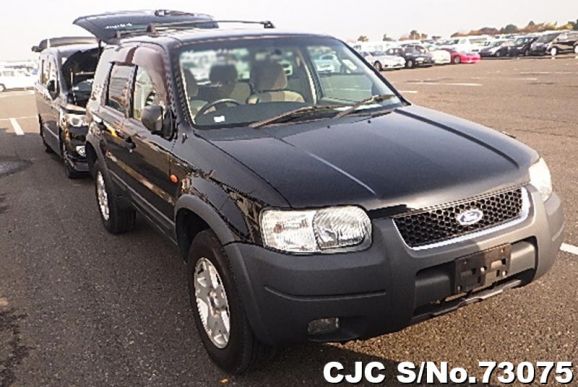 2004 Ford / Escape Stock No. 73075